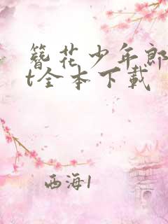 簪花少年郎txt全本下载