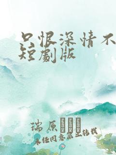 只恨深情不识鸢短剧版