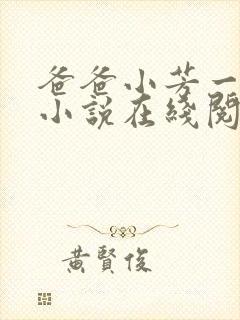 爸爸小芳一家亲小说在线阅读