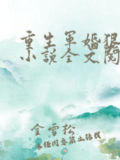 重生军婚狠缠绵小说全文阅读及番外