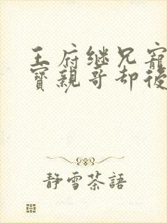 王府继兄宠我如宝亲哥却后悔了完整版