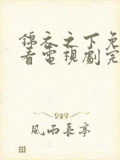 锦衣之下免费观看电视剧完整版高清