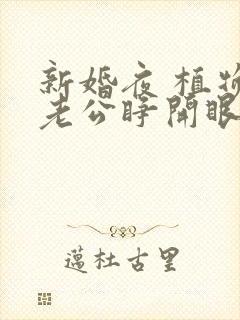 新婚夜 植物人老公睁开眼