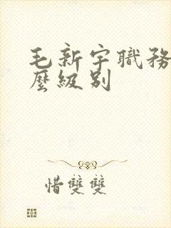 毛新宇职务是什么级别