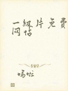 一级片免费播放网站