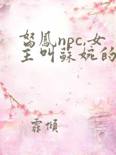胬凤npc,女主叫苏婉的小说名字