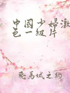 中国少妇激情黄色一级片