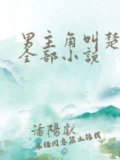 男主角叫楚阳的全部小说