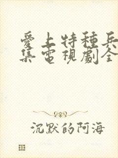 爱上特种兵40集电视剧全集免费