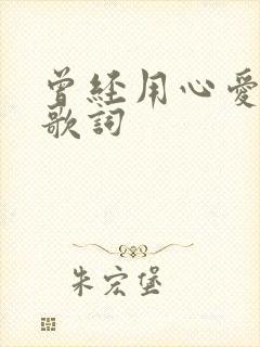 曾经用心爱着你歌词