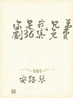 你是我兄弟电视剧36集免费看