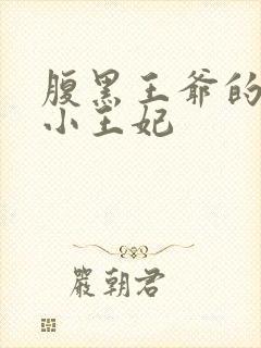 腹黑王爷的乞丐小王妃