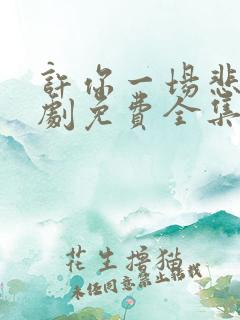 许你一场悲欢短剧免费全集