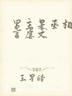 男主是丞相的古言虐文