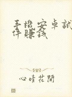 手机安卓试玩软件赚钱