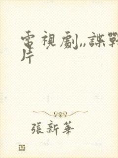 电视剧,,谍战片