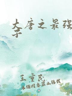 大唐之最强皇太子