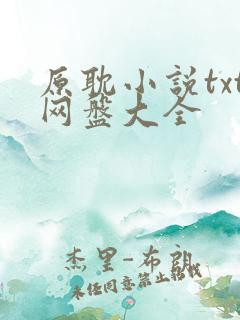 原耽小说txt网盘大全