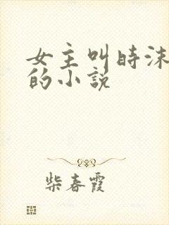 女主叫时沫重生的小说