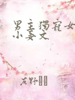 男主独宠女主的小妾文