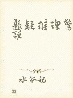 悬疑推理惊悚小说