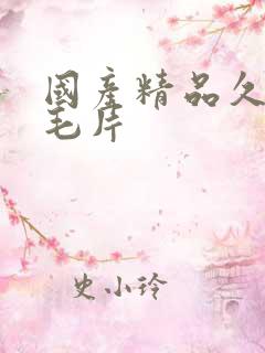 国产精品久久久毛片