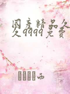 国产精品久久久久9999免费