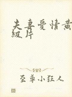 夫妻爱情黄色一级片