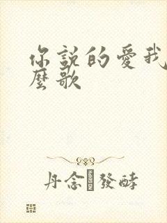 你说的爱我是什么歌