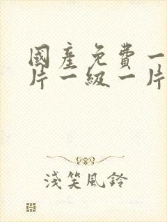 国产免费一a一片一级一片