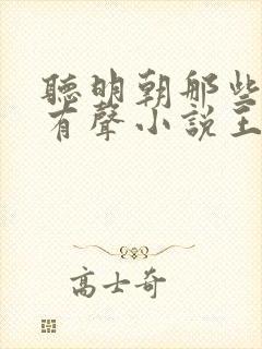 听明朝那些事儿有声小说王更新