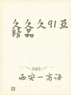 久久久91亚洲精品