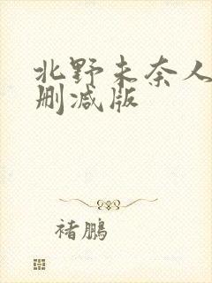 北野未奈人妻未删减版