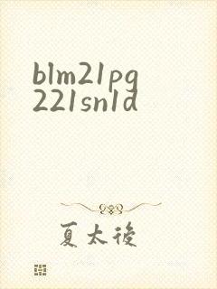 blm21pg221sn1d