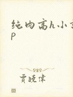 纯肉高h小说np