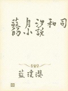 苏月汐和司马靖的小说