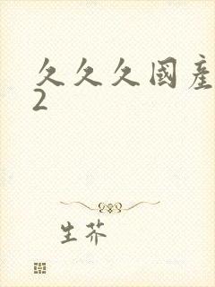 久久久国产精品2