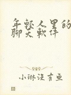 年轻人里的交友聊天软件