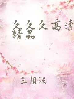 久久久高清国产精品