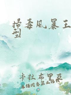 扫毒风暴王林原型