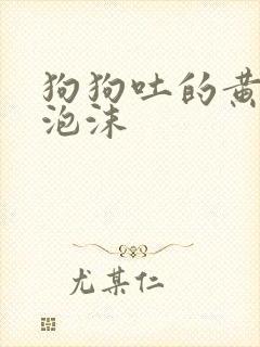 狗狗吐的黄水带泡沫