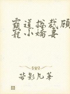 霸道总裁顾总独宠小娇妻