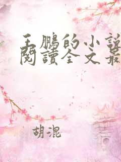 王鹏的小说免费阅读全文最新章节