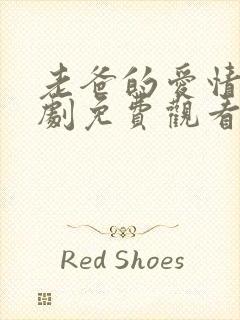 老爸的爱情电视剧免费观看