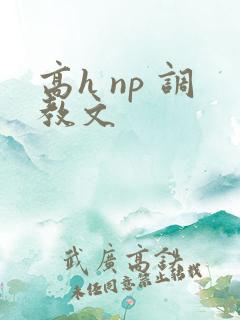 高h np 调教文