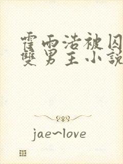 霍雨浩被囚禁禁双男主小说叫什么