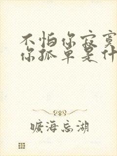 不怕你寂寞不怕你孤单是什么歌