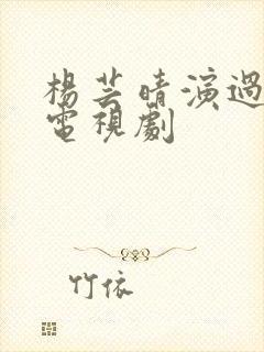 杨芸晴演过哪些电视剧