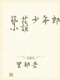 簪花少年郎有声小说