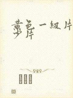 黄色一级片和老少片